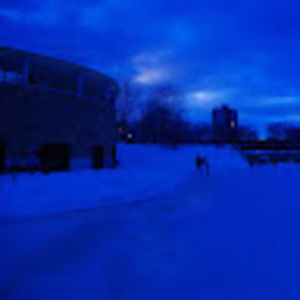 Meet your Posher, Poppy